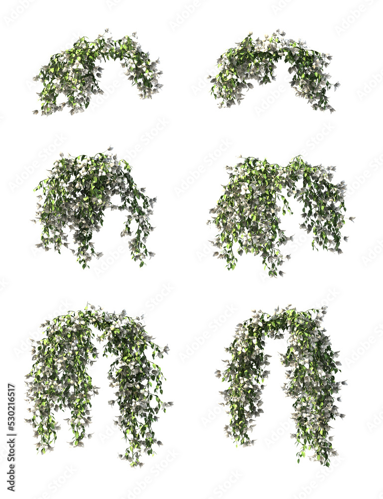 3d rendering of Bougainvillea hanging isolated 3d rendering of Bougainvillea hanging isolated