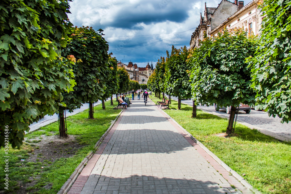 Alley of the city of Lviv with green trees on the sides	
