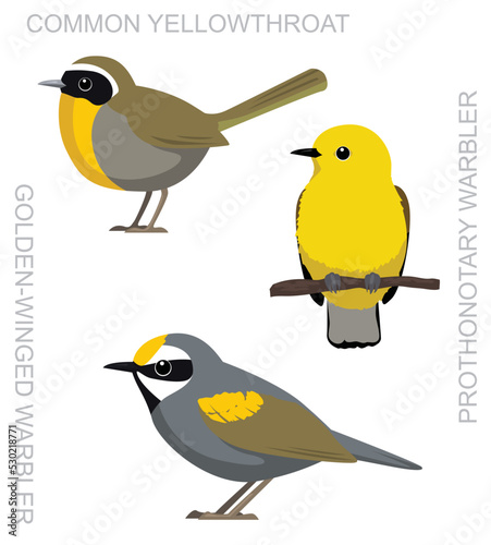 Cute Bird Common Yellowthroat Prothonotary Warbler Set Cartoon Vector