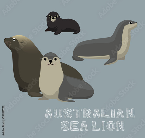 Australian Sea Lion Cartoon Vector Illustration
