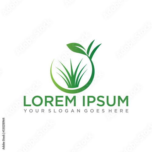 farm logo , agriculture logo vector