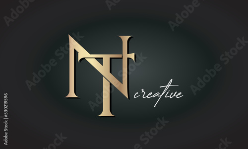 NT letters luxury jewellery fashion brand monogram, creative premium stylish golden logo icon photo