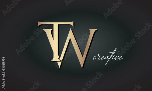 Canvastavla TW letters luxury jewellery fashion brand monogram, creative premium stylish gol