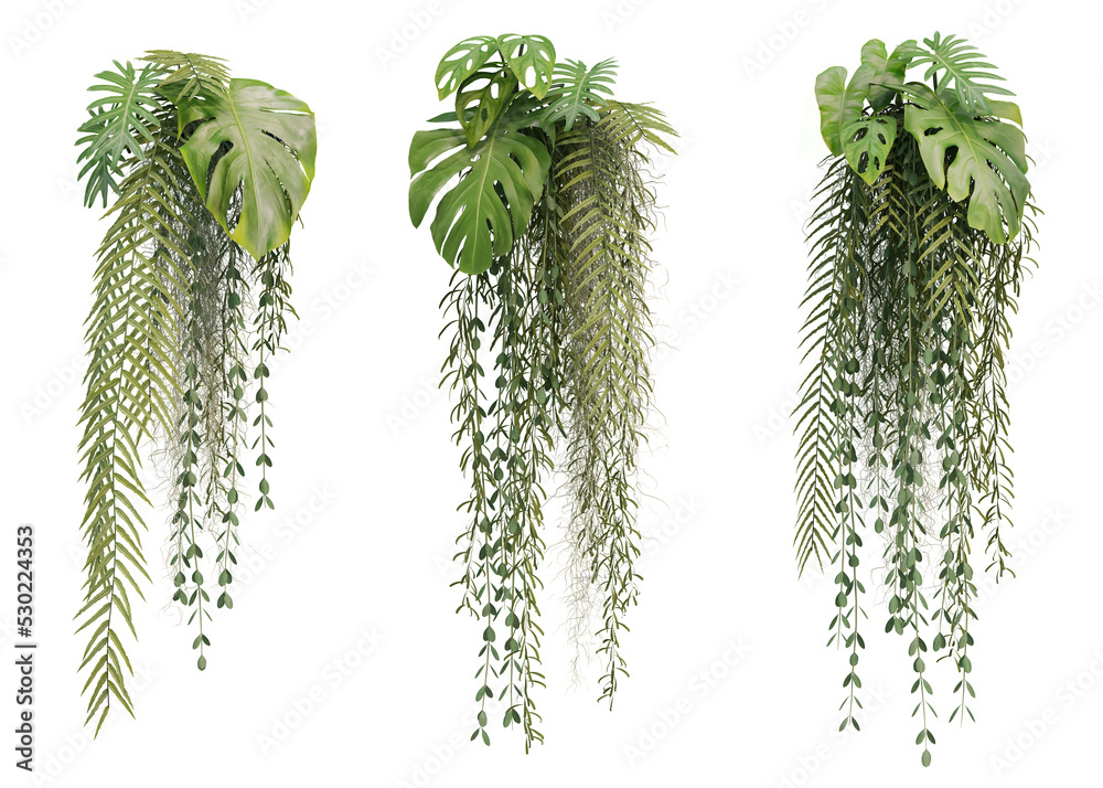 3d rendering of hanging plant isolated - obrazy, fototapety, plakaty 