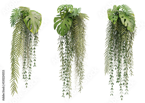 3d rendering of hanging plant isolated photo