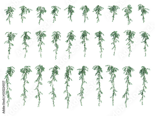 3d rendering of hanging plant isolated