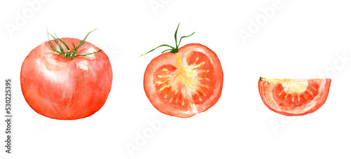 Watercolor illustration of tomato set with transparent background