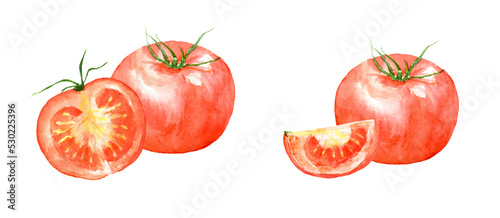 Watercolor illustration of tomatoes with transparent background