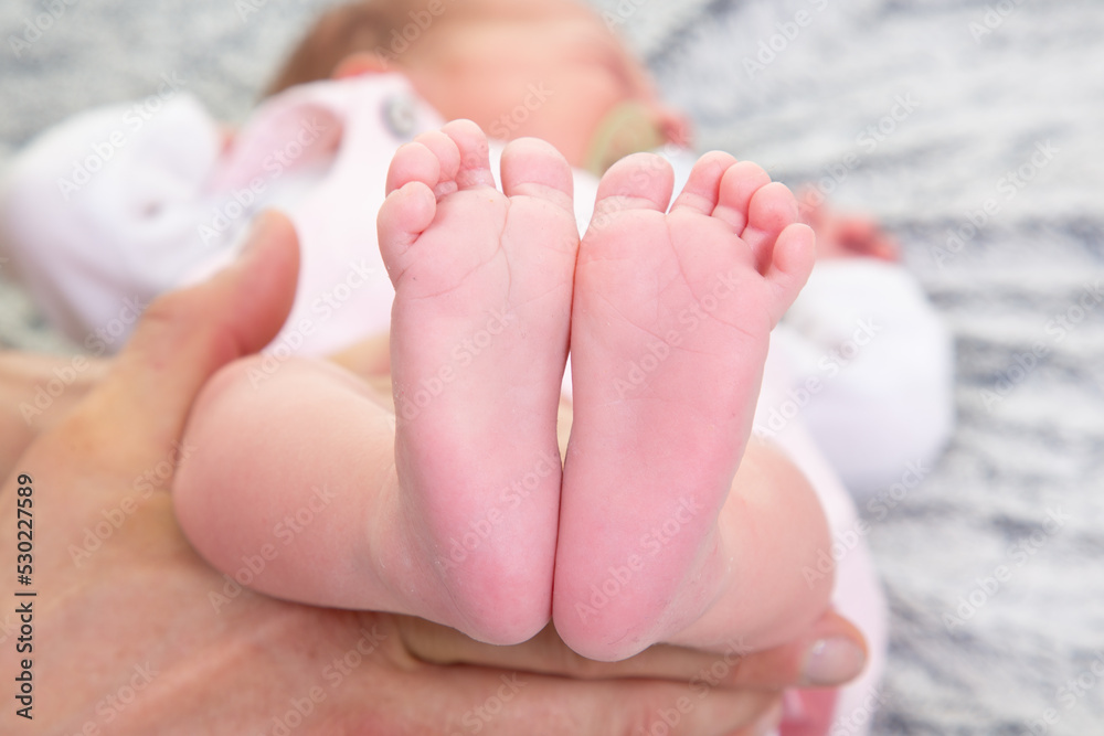 Feet of newborn baby in mother hands in Family concept hug baby legs body Feet of newborn baby in mother hands in Family concept hug baby legs body