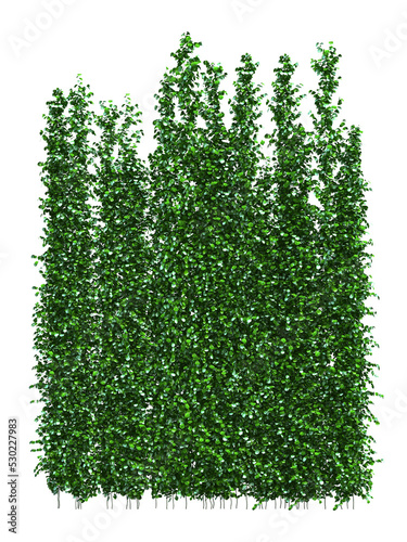 3d rendering of vertical garden isolated