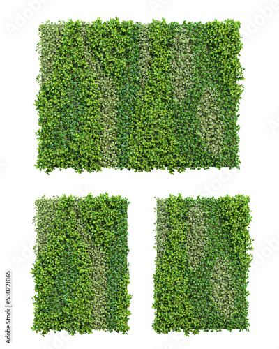 3d rendering of vertical garden isolated