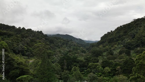 Wallpaper Mural Aerial view of the infinite jungle in the mountains of Boquete, Panama Torontodigital.ca
