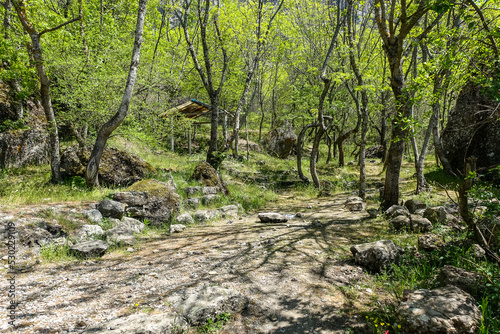 A picturesque forest in the Demerdzhi tract. Crimea 2021
