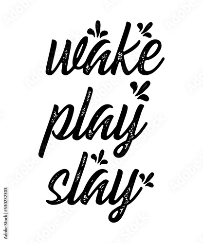 Wake Play Slay is a vector design for printing on various surfaces like t shirt, mug etc.
