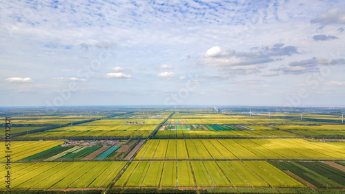 Aerial photography of Yellow Sea Forest Park in Dongtai City  Yancheng City  Jiangsu Province  China in autumn