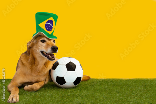 Dog with soccer ball, and hat with the flag of Brazil
