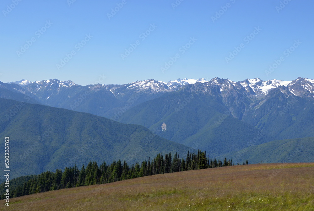 Obraz premium Panorama Mountain Landscape at Hurricane Ridge in Olympic National Park, Washington