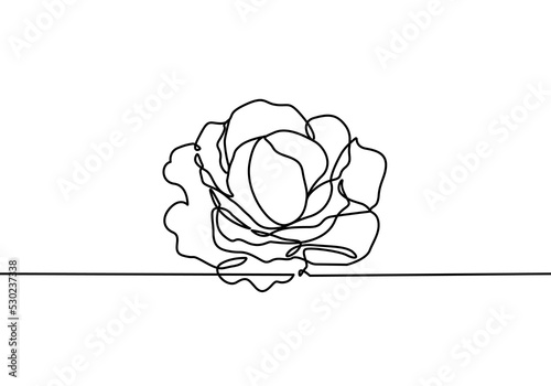 Cabbage Continuous Line Drawing. Cabbage Minimalist Trendy Line Art Drawing. Vegetable Logo Illustration, Perfect for Icons, Social Media, Branding Design. Vector EPS 10