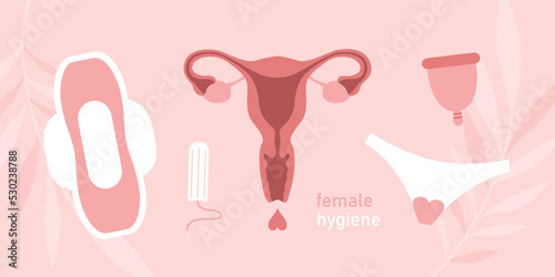 female hygiene products women uterus sanitary napkin tampon