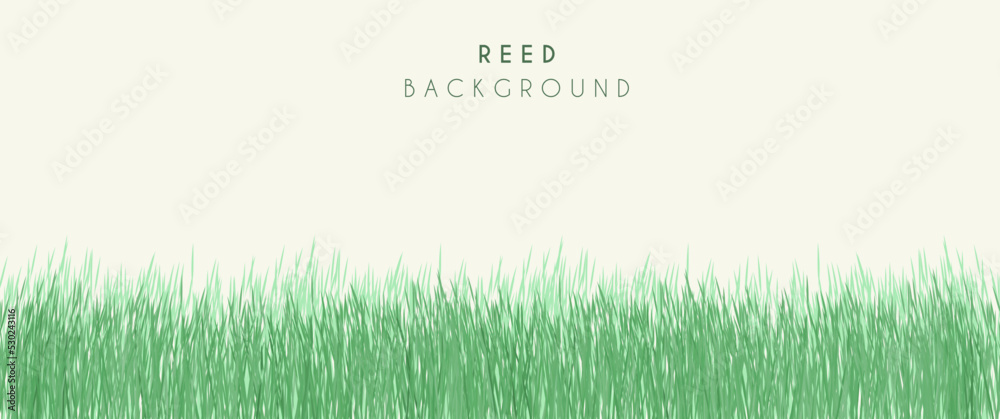 Sea reed vector background design, wild reed in the beach, beach with