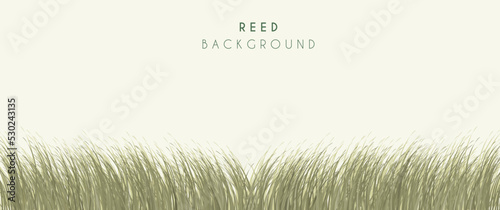 Sea reed vector background design, wild reed in the beach, beach with reed. Perfect for background, wallpaper, typography, illustration, creative design asset or template.