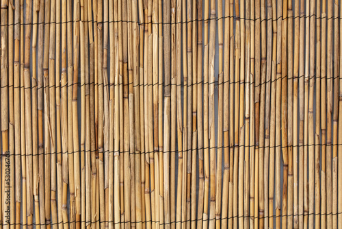 Reed fence wall as abstract background.