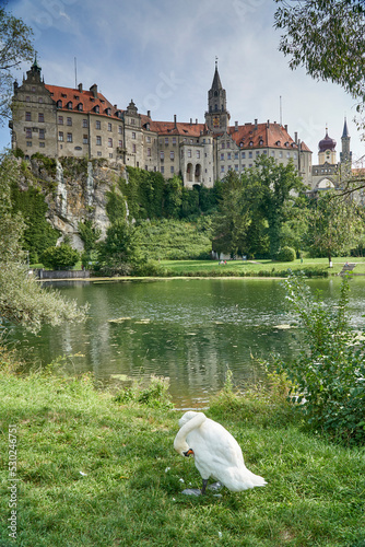 Sigmaringen Castle with a swan