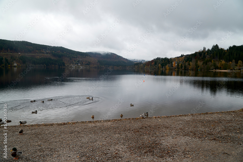 Naklejka premium Autumn morning at Lake Titisee