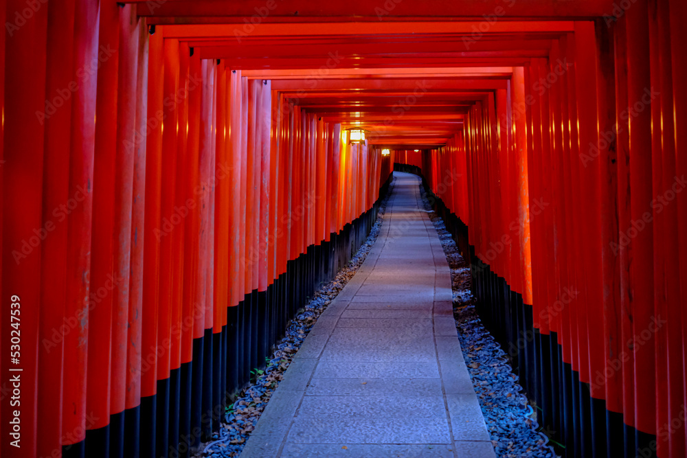 Fototapeta premium Fushimi Inari-Taisha_Calling from the other side_2
