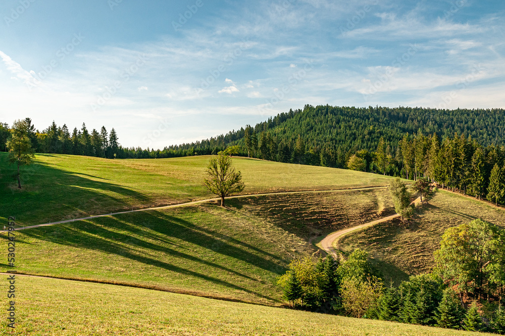 Landscape of region Ortenau, Black Forest in Germany