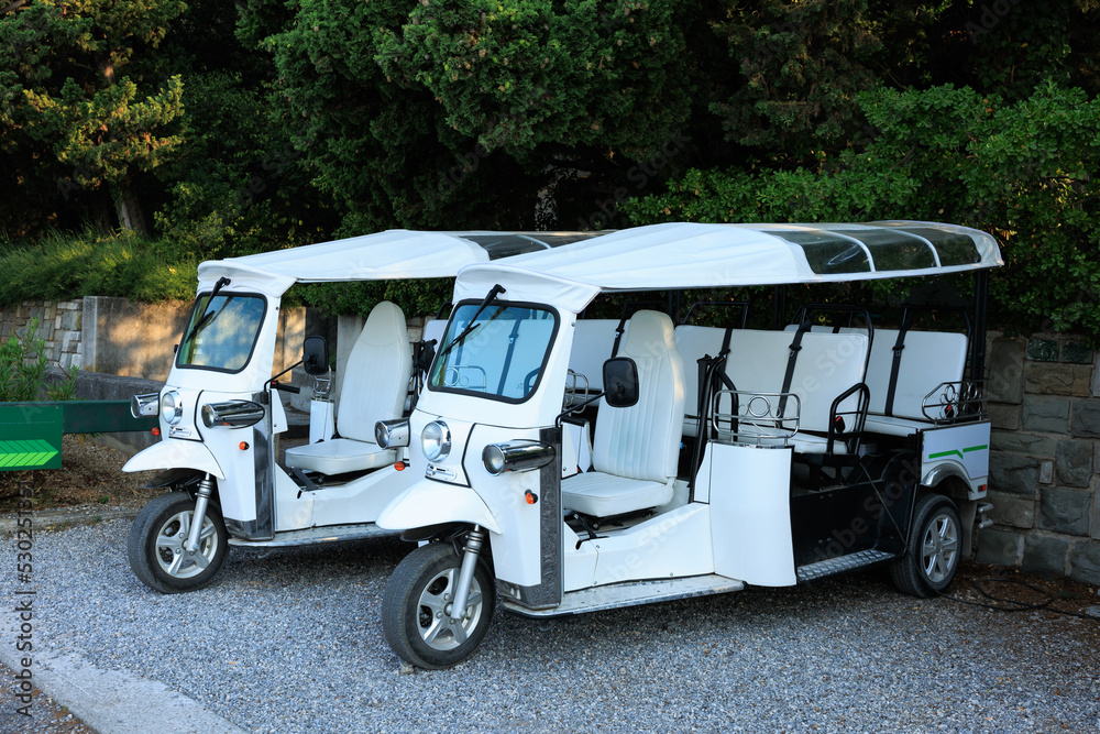 electric cars for tourist transport