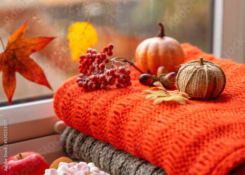 autumn leaves with an orange scarf a candle a cone acornes cinnamon pumpkin autumn berry anoce on the windowsill in rainy weather