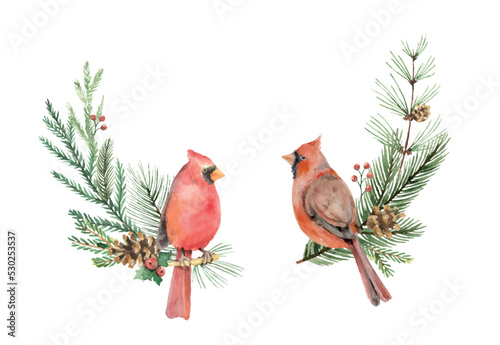 Fotografia Christmas watercolor vector wreaths with cardinal birds, fir branches and cones