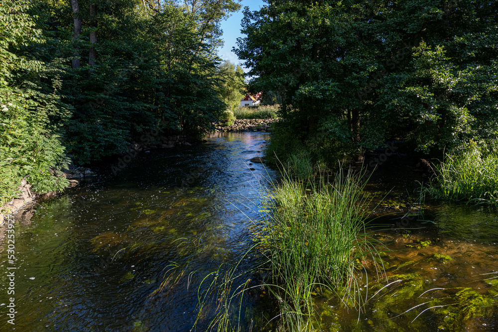 Lush green trees on a late summer day by Ronne river, Stockamollan, Scania county, Sweden