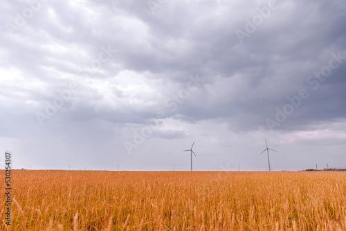 Concept green energy renewable production. Wind turbines on gloomy sky and yellow agricultural field on summer day