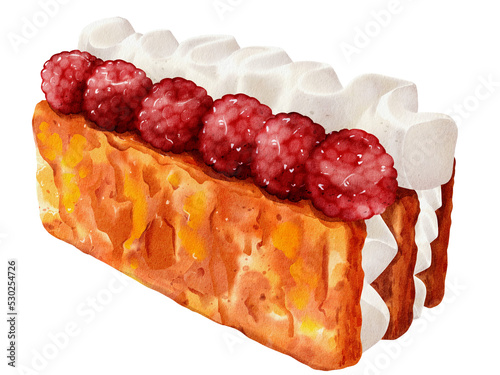 Watercolor of raspberry millefeuille cake illustration photo
