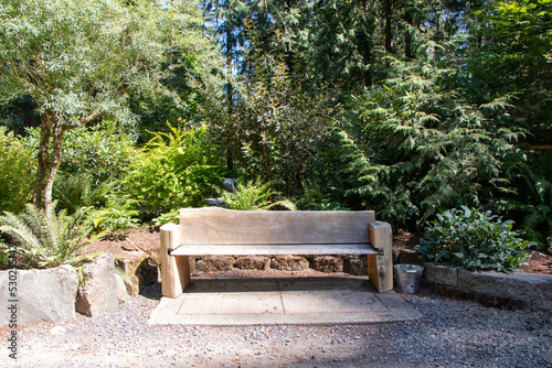 Wooden bench in the forest - Oregon, USA