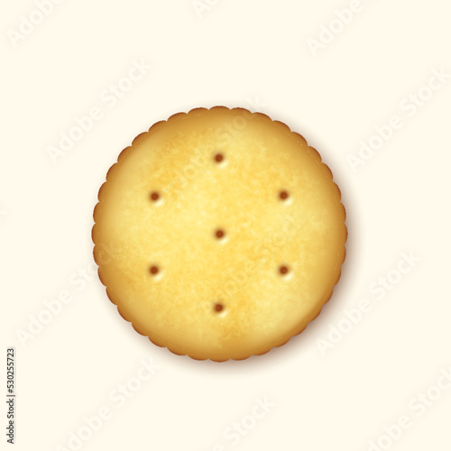 Realistic round salty cookie dry cracker, biscuit element. Sweet cookie, yummy breakfast snack