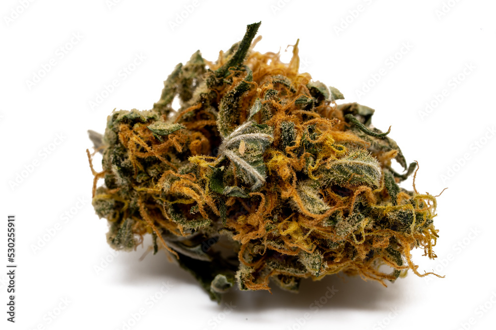Polle einer Cannabisblüte isoliert auf weißen Hintergrund Polle einer Cannabisblüte isoliert auf weißen Hintergrund