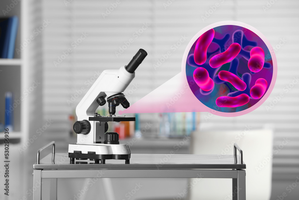 Fototapeta premium Examination of sample with bacteria under microscope in laboratory