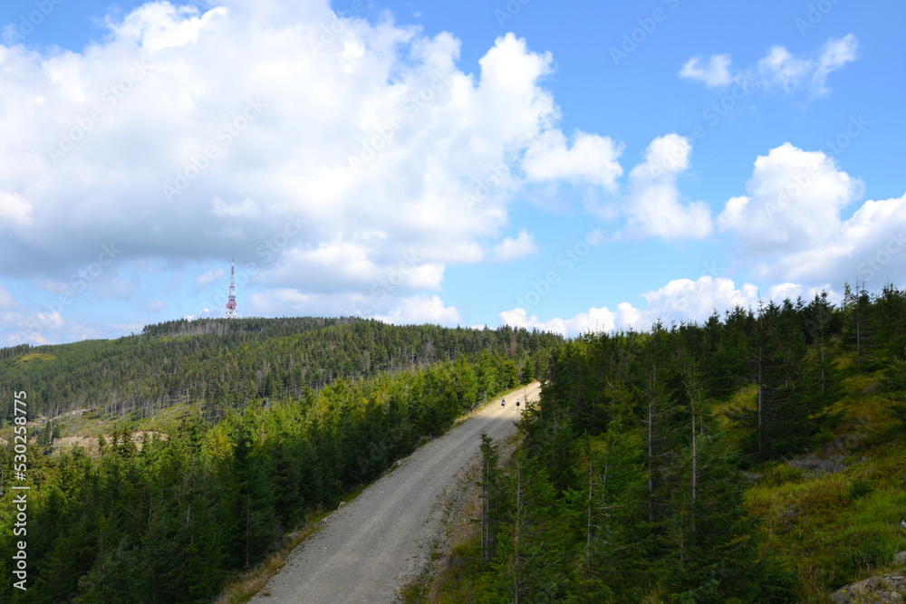 Path or trekking trail leading to Skrzyczne mountain in southern Poland, the highest mountain of the Silesian Beskids. Skrzycze is one of the Polish Crown Peak