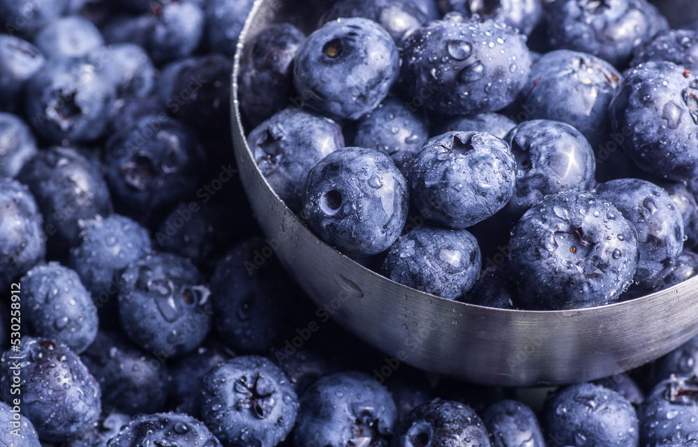 Blueberries in a bowl close-up. Healthy food concept