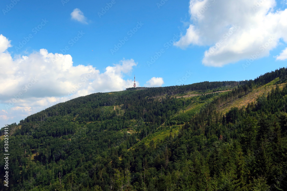 Fototapeta premium Skrzyczne mountain in southern Poland, the highest mountain of the Silesian Beskids. Skrzycze is one of the Polish Crown Peak