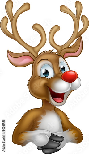 Cartoon Christmas Reindeer photo