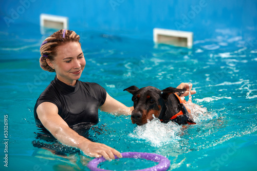 Konstfotografi Dog in life jacket swim in the swimming pool with coach