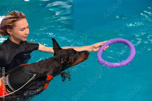 Konstfotografi Dog in life jacket swim in the swimming pool with coach