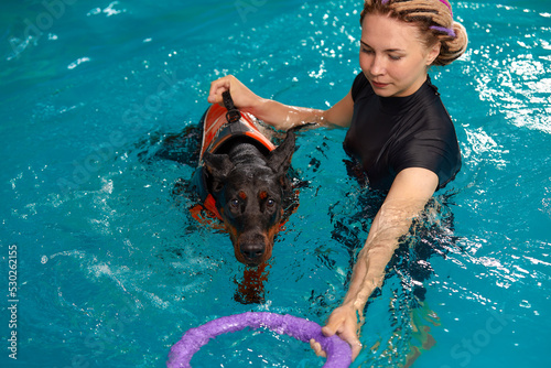 Фотография Dog in life jacket swim in the swimming pool with coach