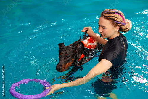 Photos Dog trainer at the swimming pool, teaching the dog to swim.
