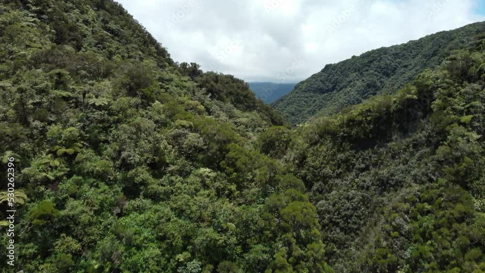Mountain and canopy on Reunion Island Mountain and canopy on Reunion Island
