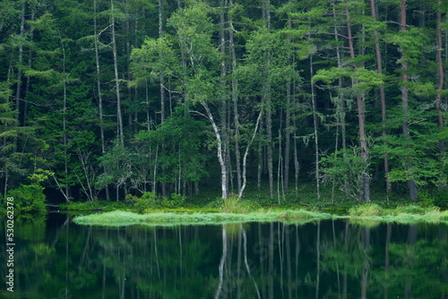 山奥の池のある森の風景 photo